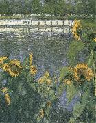 Gustave Caillebotte The sunflowers of waterside oil painting reproduction